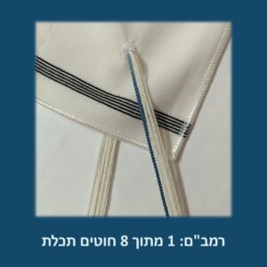 רמב"ם